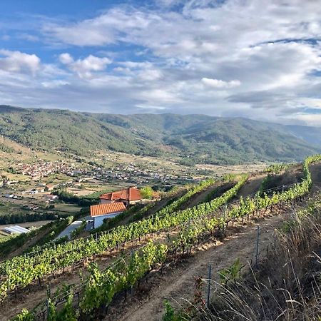 Quinta Da Penada - Vineyard & Winery - Suite 3 Шавеш Екстер'єр фото