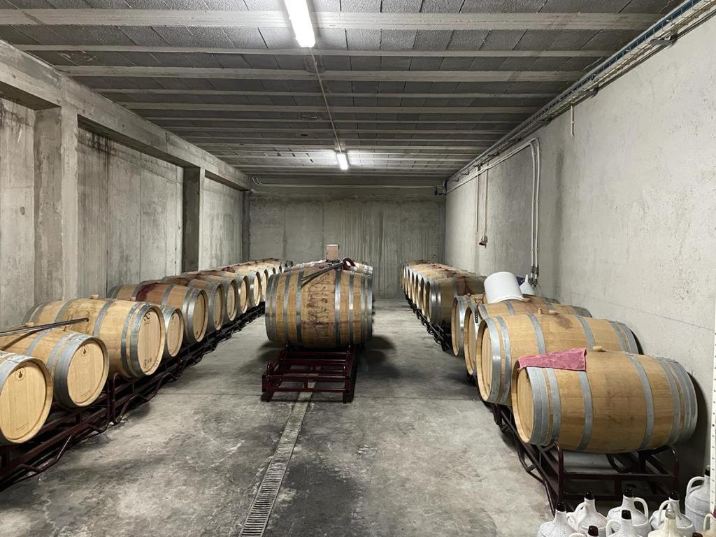 Quinta Da Penada - Vineyard & Winery - Suite 3 Шавеш Екстер'єр фото